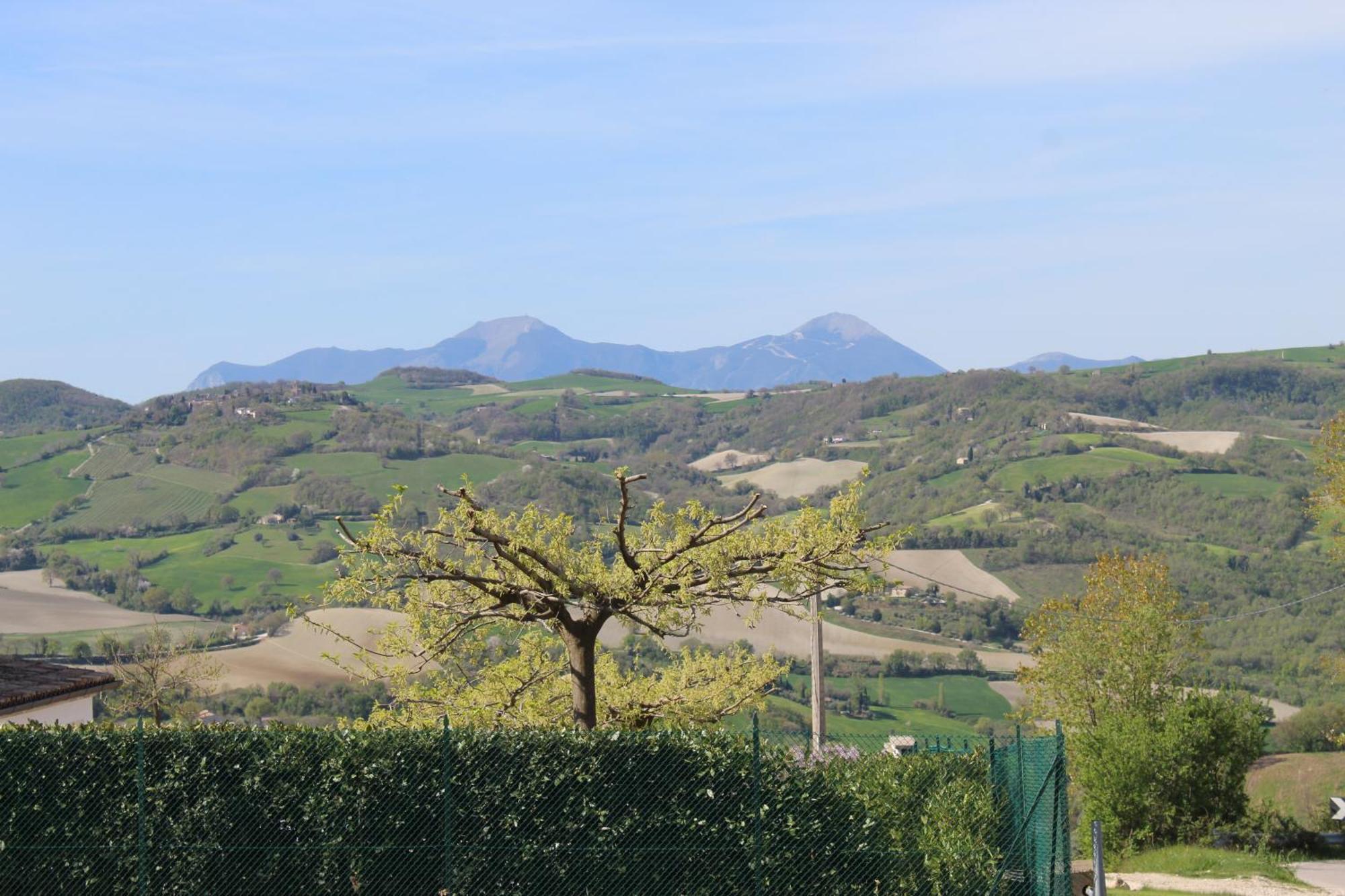 Villa Casa Borgo Fonte à Castelleone di Suasa Extérieur photo