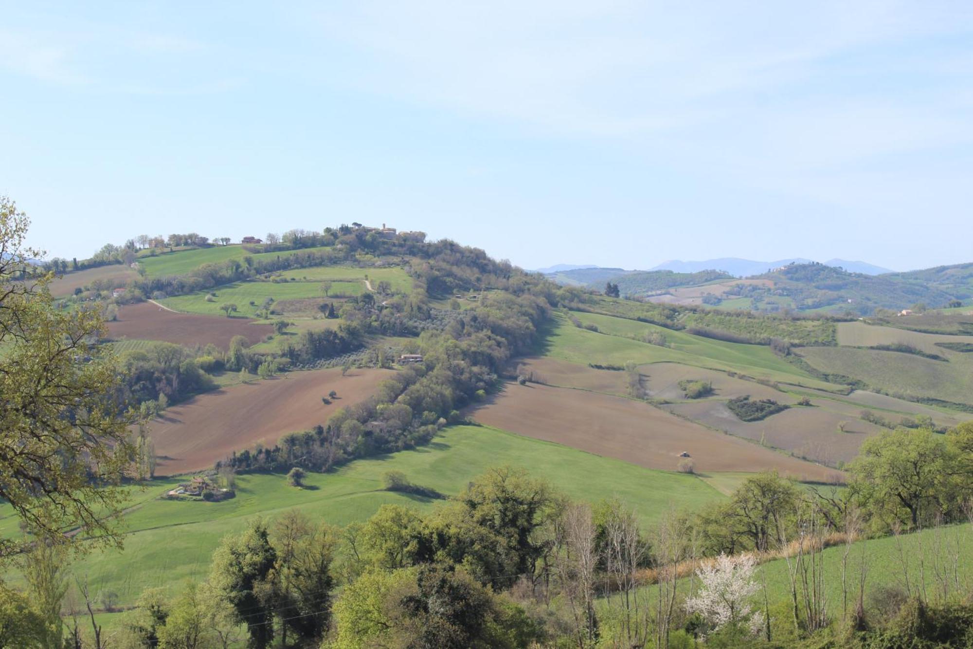 Villa Casa Borgo Fonte à Castelleone di Suasa Extérieur photo