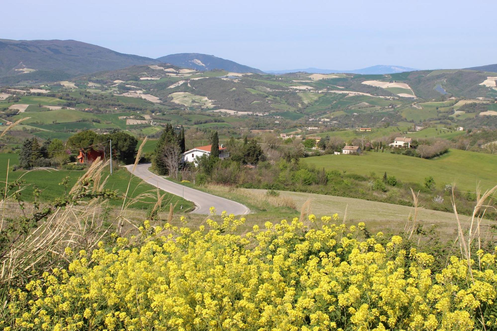 Villa Casa Borgo Fonte à Castelleone di Suasa Extérieur photo